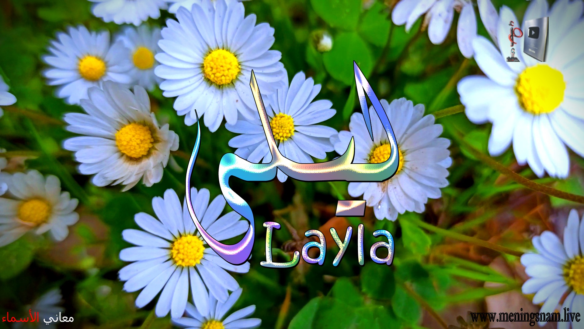 معنى اسم, ليلى, وصفات, حاملة, هذا الاسم, Layla,