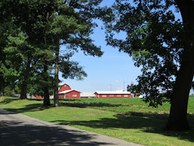 farm scene