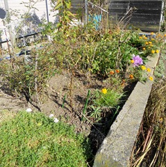2011.10.12-1 かだん