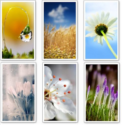 new wallpapers for nokia 5800. All these wallpapers are of