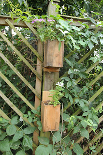 How to make a easy hanging pallet wood planter from recuperated wood