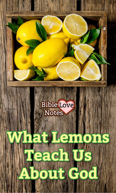 Did you know that lemons show us some wonderful truths about God's creation and an important way He works in our lives.
