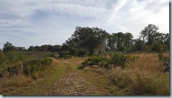 20160121_104255
