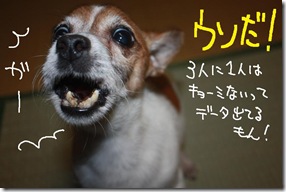 今日カズ１００６２９　２