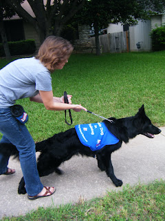 Petey lurching in the opposite direction to how we were going; I've got my feet braced and am bent over to hang onto him