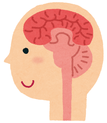 脳の中の神経細胞 脳波判読のための基礎 Cute Guides At 九州大学 Kyushu University