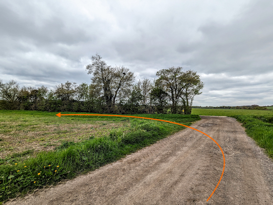 Turn left before the line of trees on Bygrave bridleway 13