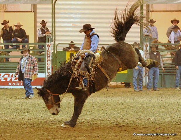 Do you feel  nervous when you see this dangerous scene at pioneer day rodeo?
