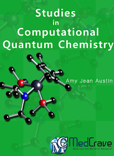 Studies in Computational Quantum Chemistry PDF