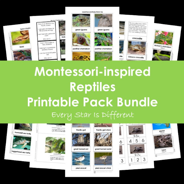 Montessori-inspired Reptiles Printable Pack Bundle
