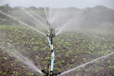 Crop Production and Management in Kannada Medium