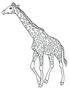 Giraffe Coloring Pages Animals Ideas For Print