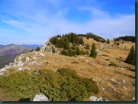 DSCN8642