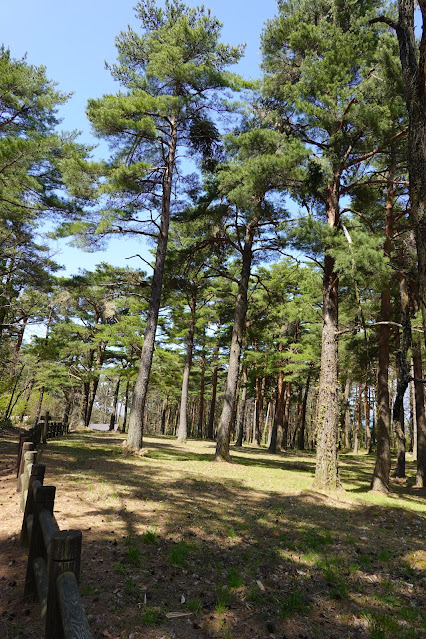 鳥取県西伯郡伯耆町丸山 ふれあいの森キャンプ場