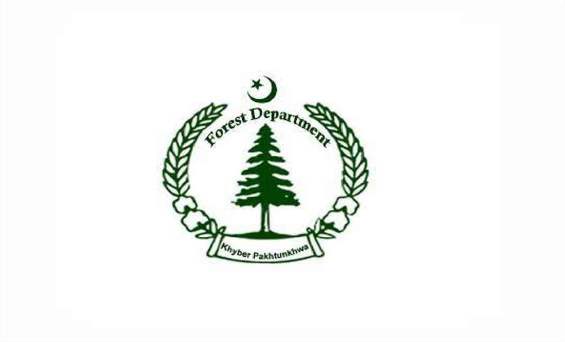 Forest Department KPK Jobs 2021 Latest – www.examiner.org.pk