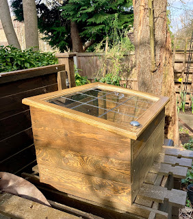 Cold frame made from pallet wood