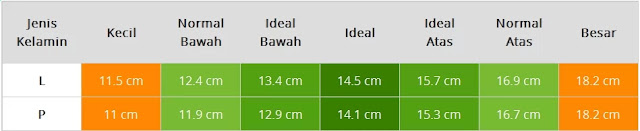 Tabel Ukuran Lingkar Lengan Bayi Usia Sembilan Bulan