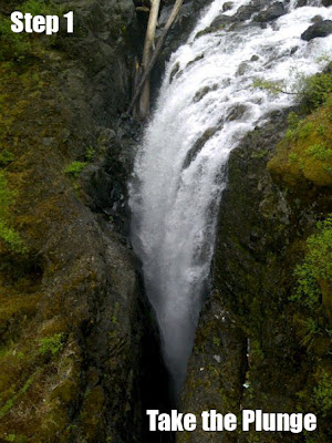 "Step 1: Take the Plunge" - Taken at Englishman River Falls, Parksville, BC, Canada. Photo © Laura Sheana Taylor.