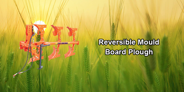 reversible manual plough