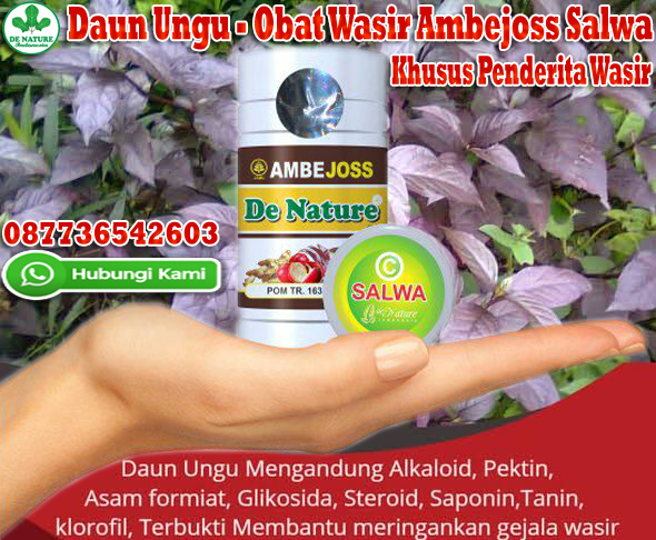 Gambar Daun Ungu Untuk Obat Ambeien