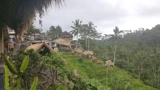 Teras Sawah Tegalalang Bali