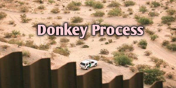 Donkey Process