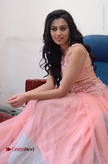 Actress Neha Hinge Stills in Pink Long Dress at Srivalli Teaser Launch  0100.JPG