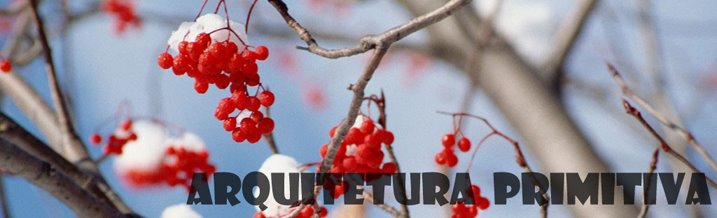 Arquitetura Primitiva