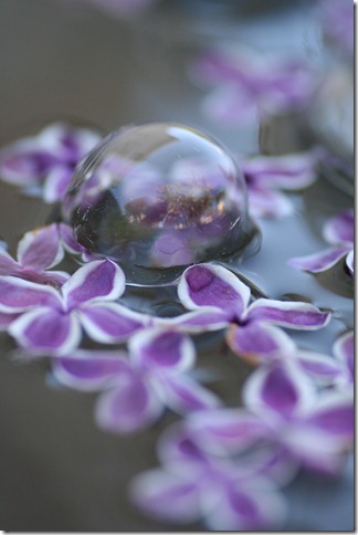 bloggebilder 004