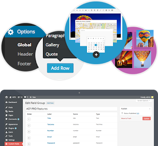 ACF Pro V5.6.1.0 nulled