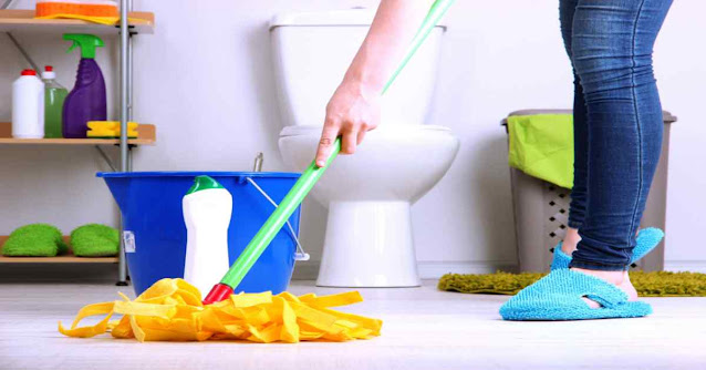 bathroom cleaner woolooware