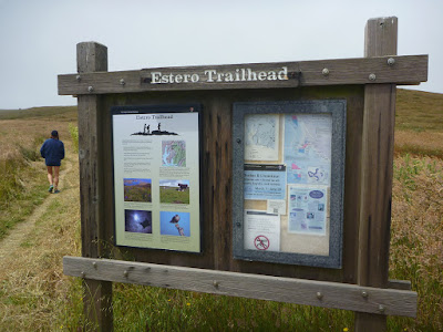 Estero Trailhead, Point Reyes, California