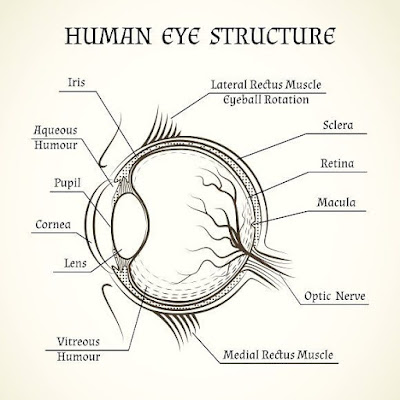 Simple eye diagrams | Easy eye diagram | Labeled eye diagram