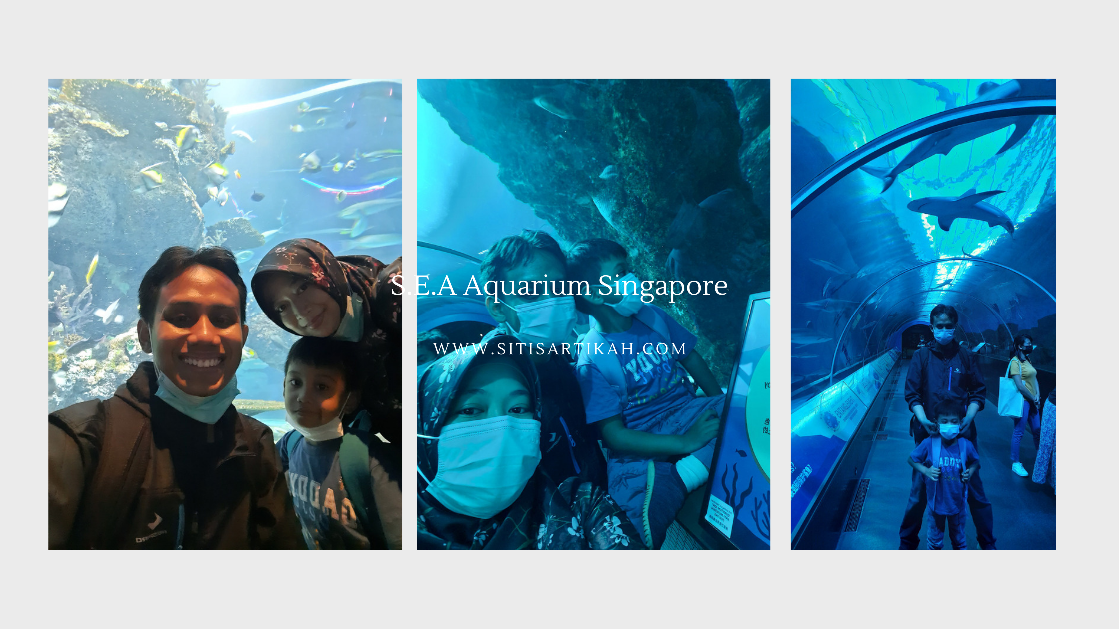 dokumentasi SEA Aquarium
