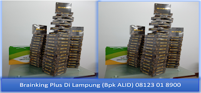 PROMOSI, 08123 01 8900 (Bpk. Alid), Brainking Plus di lampung