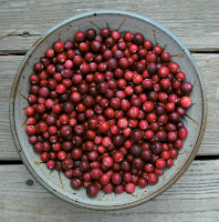 u.p. cranberries