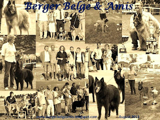 Berger Belge & Amis
