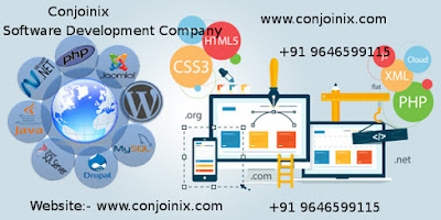 Software Development Company in Chandigarh