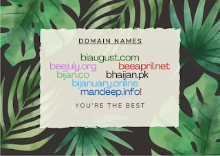 Domain Names Start With Alphabetic "B"