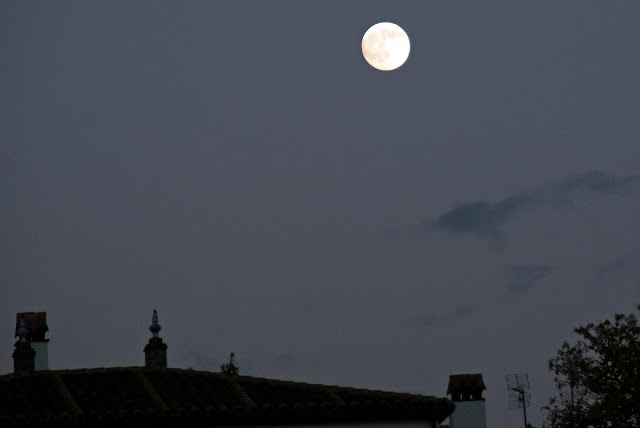 fuenteheridos-de-noche