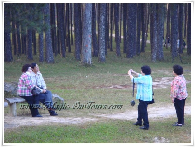 photo magic on tour