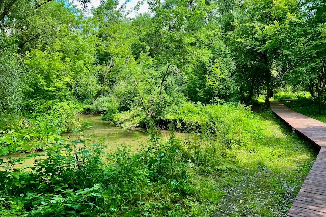 Матвеевский лес, река Сетунь