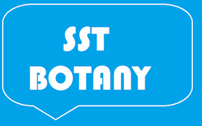 sst botony for bio and chemistry,notes for botony