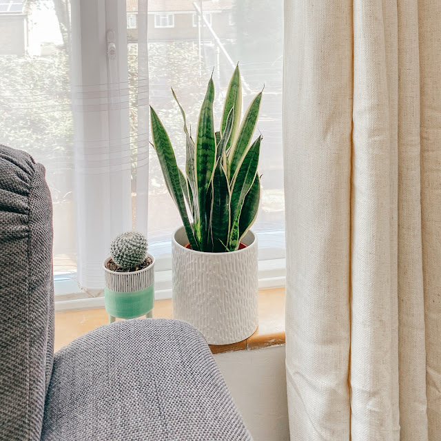 Two plants sitting on a window sill between a sofa and a curtain.