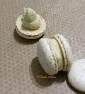 Macarons cacahuète, noisette, noix de pécan et noix de coco