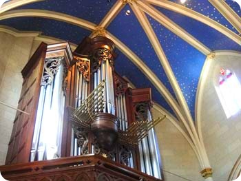 6-organ