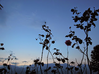 sonnenuntergang-sommer-lago-maggiore