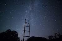 Ladder to Heaven - Photo by Mike Lewinski on Unsplash
