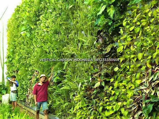 VERTICAL GARDEN INDONESIA SPESIALIS JASA PEMBUATAN VERTICAL GARDEN DI PANTAI INDAH KAPUK DAN DI SELURUH WILAYAH PANTAI INDAH KAPUK  DENGAN TENAGA YANG PROFESIONAL DAN DAPAT DI PERCAYA YANG SELALU MENGUTAMAKAN SEBUAH MUTU DAN KUALITAS PEMASANGAN VERTICAL GARDEN/TAMAN DINDING, JASA TUKANG TAMAN VERTICAL PANTAI INDAH KAPUK , JASA VERTICAL GARDEN PANTAI INDAH KAPUK