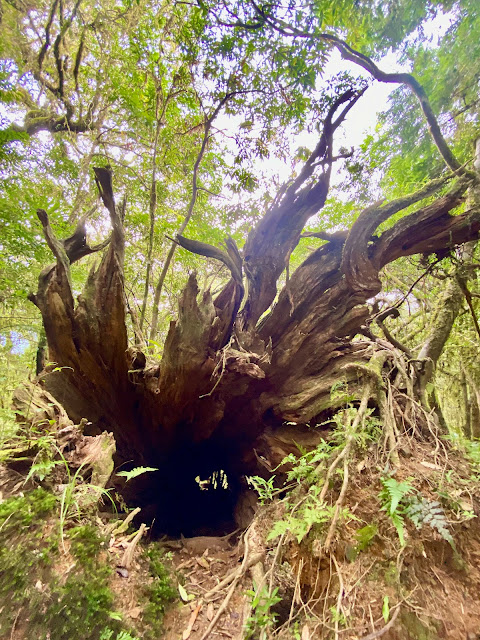 巴福越嶺古道